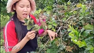Tiny Monkey Janny stop Mom eating fruit / Janny go to visit out side with Mom