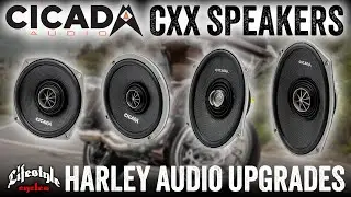 Звуковая система Cicada: динамики CXX &mdash; Harley Audio
