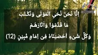 Surah Yaseen Ayah 11&ndash;12 | Tajweed Practice for correct recitation |