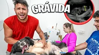 A SKY EST&Aacute; GRAVIDA  😭