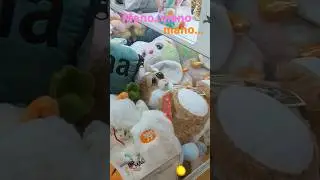 Parab&eacute;ns BR MACHINE pelo reabastecimento de Hoje.