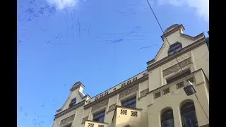 Капустный день и зорбинг в Праге | Olinka