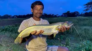 গাঙ্গ থেকে কিভাবে ধরলো এই বোয়াল মাছ | Best Village Fishing Video 