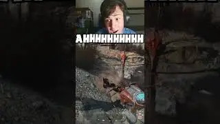 Radscorpions In Fallout 4 are TERRIFYING