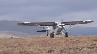 super cub