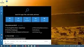 Windows 10 October 2018 update Feature highlight New Search Box has more information