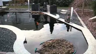 KONISHI sucht den Super-Teich!!