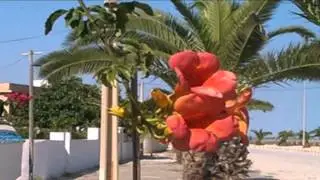 معمورة في أحلى صورة
