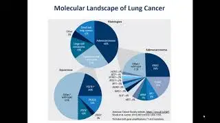 Gene Targeted Therapy for Non Small Cell Lung Cancer