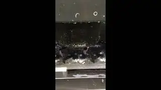 CNC Kidney plate