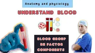Human Blood and its Component  || Blood Groups explained || Anatomy and Physiology for Nurses