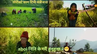 गर्मीमा निनि भदैनी भएर एति धेरै  सुन्तला साधेर खायौं🍊😁@Rajkalarai