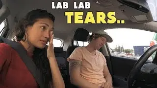 The End of Road trip.. (surgery update)