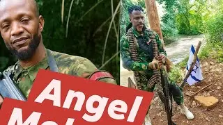 Подтверждение от одного из членов BLA, что Джентл не был арестован, как утверждали нигерийские со...