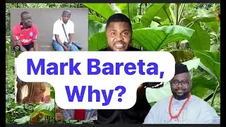 Mark Bareta WHY?