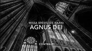 AGNUS DEI | CONTRALTI | Missa Brevis (De Haan) Base musicale