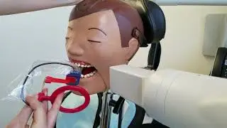 Размещение вертикальных прикусных крыльев