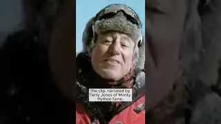 Flying Penguins April Fools' Day Prank