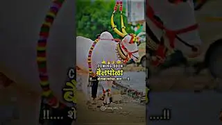 Surya bail pola video #pola #viral #trending #oxen #bail #kisan #youtubeshorts #shorts #reels