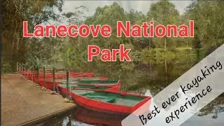 Lanecove National Park, Best Kayaking Experience