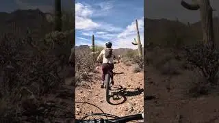 Group Ride Through the Saguaros! (Southwest Guided Adventures)
