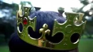 Excalibur