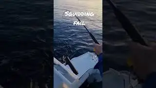 Squidding South Australia