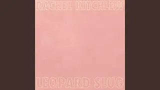 Leopard Slug (feat. Andy Baxter, SHOLTO, David Bardon)