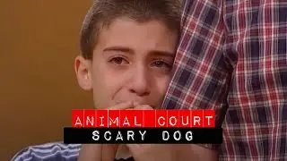 Animal Court: Scary Dog