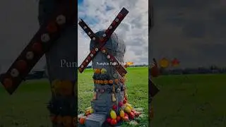 Pumpkin patch vibes 🎃🍁 #PumpkinPatch #FallVibes #foryou #viralshorts #netherlands #fypシ゚viral