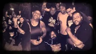 Miami Hardcore 305