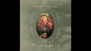 Sparklehorse - More Yellow Birds