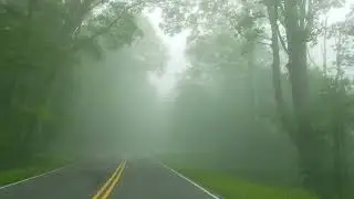 SHENANDOAH NATIONAL PARK IS LUSH GREEN(షెనాండోహ్ జాతీయ ఉద్యానవనం పచ్చదనంతో నిండి ఉంది.) 01