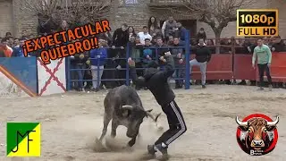 Villamayor de Gállego. Vacas en Plaza | 08/03/2025 | Ganad. Los Maños