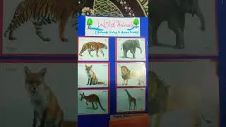 #Domestic Animals vs Wild Animals Project