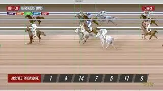 Live Hippodrome &laquo; MARRAKECH &raquo; Courses du &laquo; 04/01/2026 &raquo;