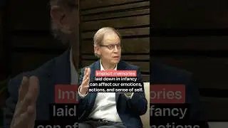 A Case of Mistaken Identity with Dr. Dan Siegel