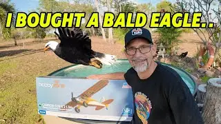 I Bought a Bald Eagle..   Cleetus McFarland Carbon Cub S2..