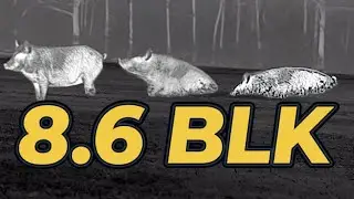 Is 8.6 BlackOut Enough? This was Expensive 