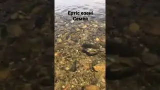 Река Иртыш, понтонный мост