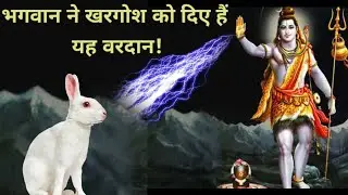 खरगोश को भगवान से क्या वरदान मिला है? Hindu Mythological Video!