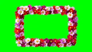 Flower Frame Green Screen | Ladila screen Dhamal ||