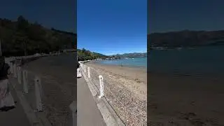 Akaroa Nature #akaroa #newzealand #christchurch #trip #shorts
