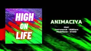 01. PSHC - ANIMACIYA