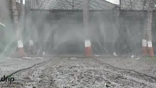 Driptech Laser Spray