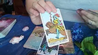 Sagittarius ♐ August 2022 Predictions