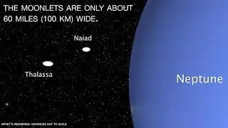 Two of Neptune's Moons Are Locked in an Orbital Dance