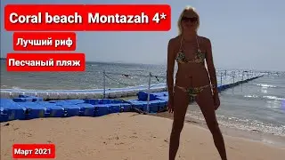 Завтрак отель 4*.  Песчаный пляж Coral Beach Montazah. Лучший риф в Шарме. Египет 2021.