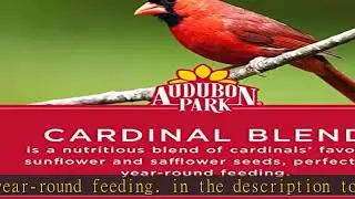 Audubon Park Cardinal Blend Wild Bird Food, Cardinal Bird Seed for Outside Feeders, 4-Pound Bag