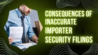 Navigating Pitfalls: Consequences of Inaccurate Importer Security Filings